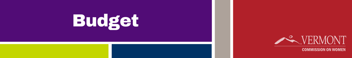 Blocks of color, logo, and title budget